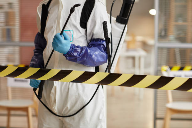 Professional Hoarding Cleanup technician working in De Witt, NY